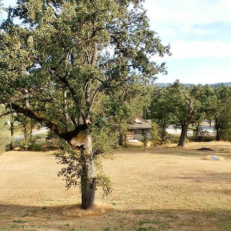 New Charming 2 Bedrooms Unit Close To Everything Oakhurst Extérieur photo