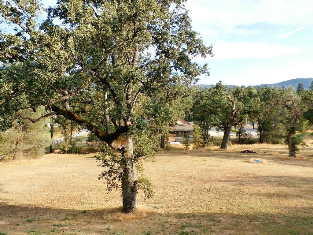 New Charming 2 Bedrooms Unit Close To Everything Oakhurst Extérieur photo